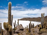 Salar de Uyuni – největší solná pláň na světě