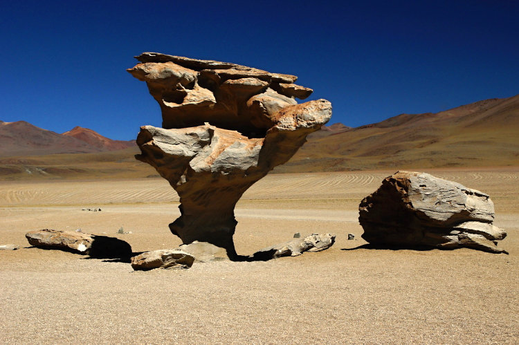 Árbol de Piedra vymodelovaný větrem a pískem